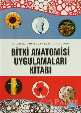 Resim Bitki Anatomisi ve Uygulamaları Kitabı