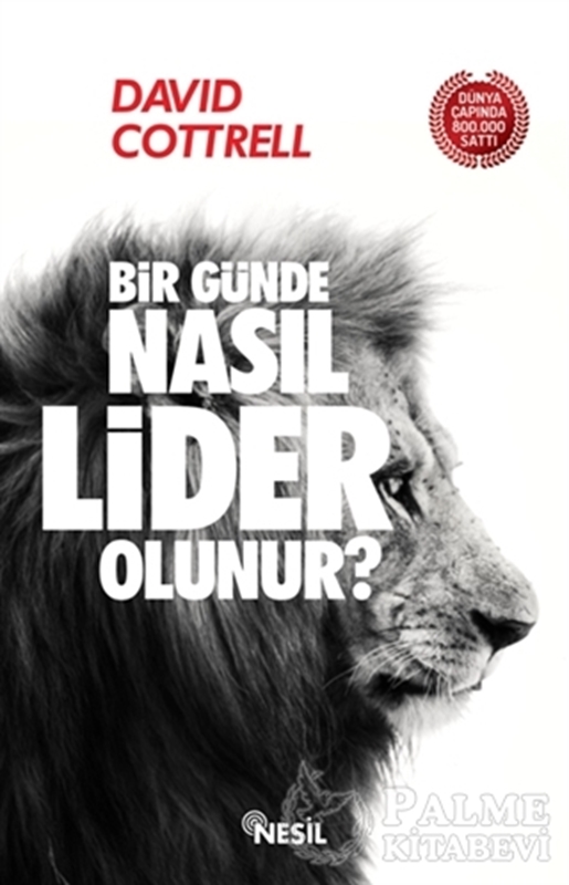 resm Bir Günde Nasıl Lider Olunur?