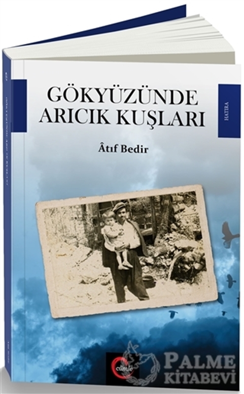 resm Gökyüzünde Arıcık Kuşları