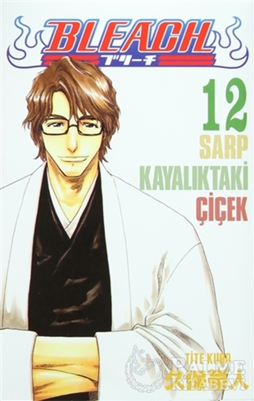 resm Bleach 12. Cilt