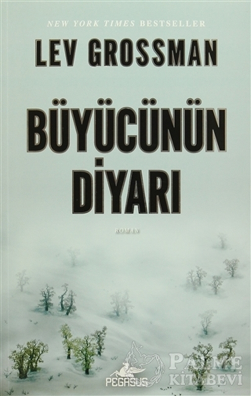 resm Büyücünün Diyarı