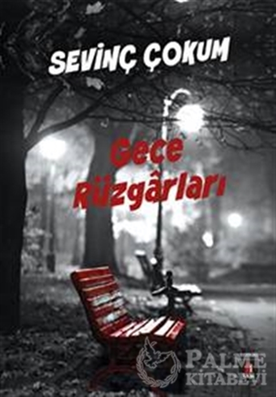 resm Gece Rüzgarları