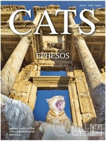 Resim Cats of Ephesos