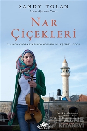 Resim Nar Çiçekleri