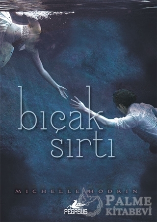 Resim Bıçak Sırtı