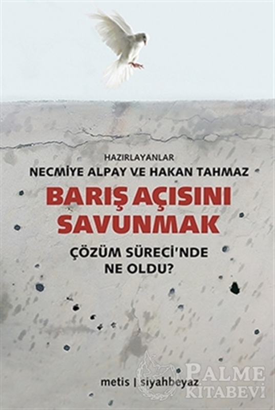 resm Barış Açısını Savunmak