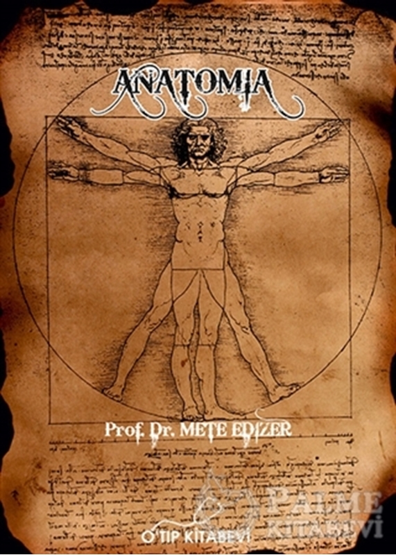 resm Anatomia