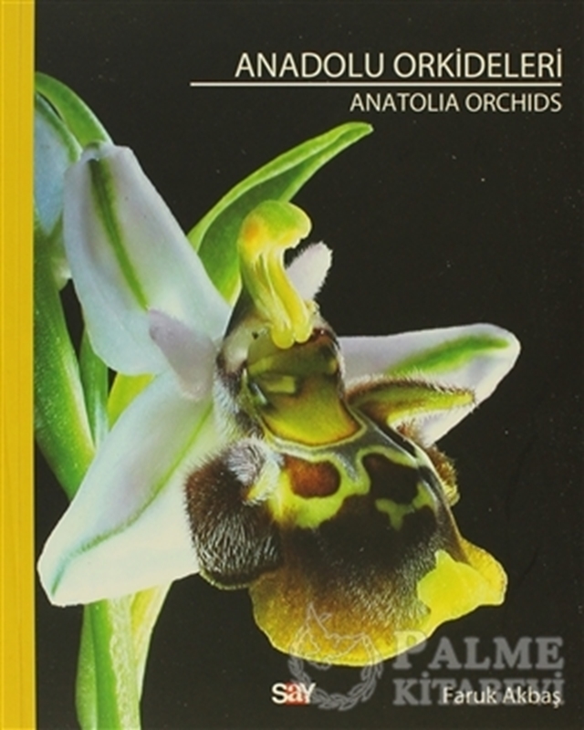 resm Anadolu Orkideleri