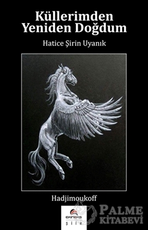 Resim Küllerimden Yeniden Doğdum