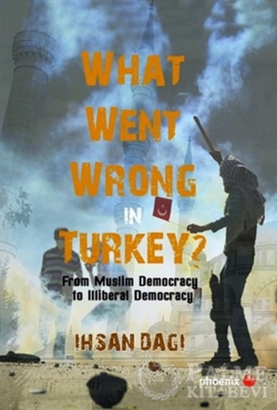 resm What Went Wrong in Turkey?