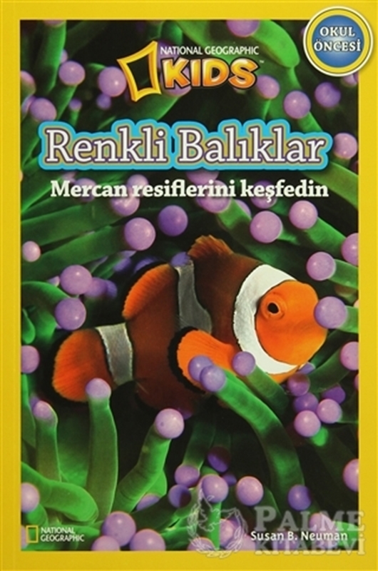 resm Renkli Balıklar