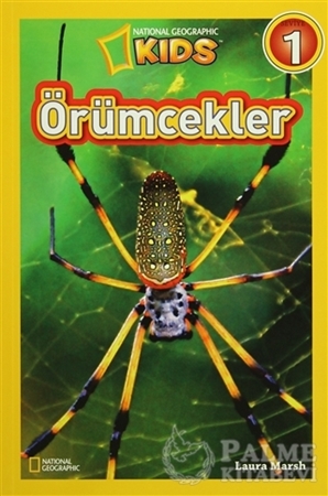 Resim Örümcekler