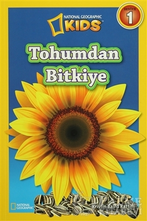 Resim Tohumdan Bitkiye