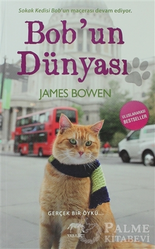 resm Bob'un Dünyası