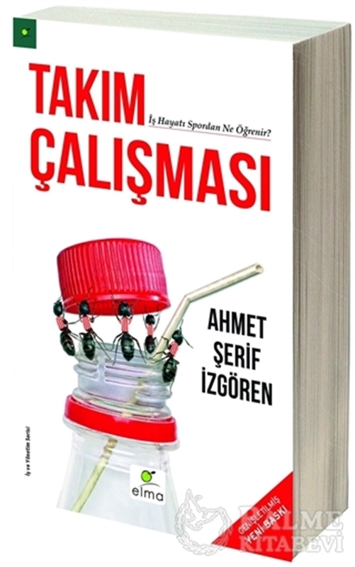 resm Takım Çalışması