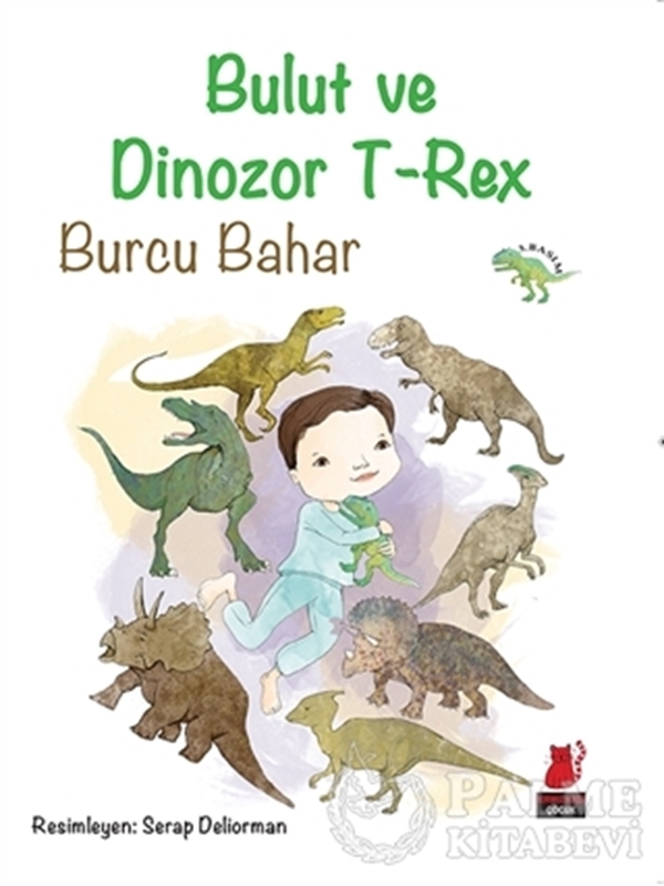 resm Bulut ve Dinozor T-Rex