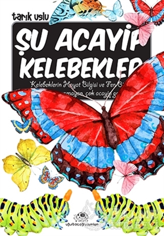 resm Şu Acayip Kelebekler
