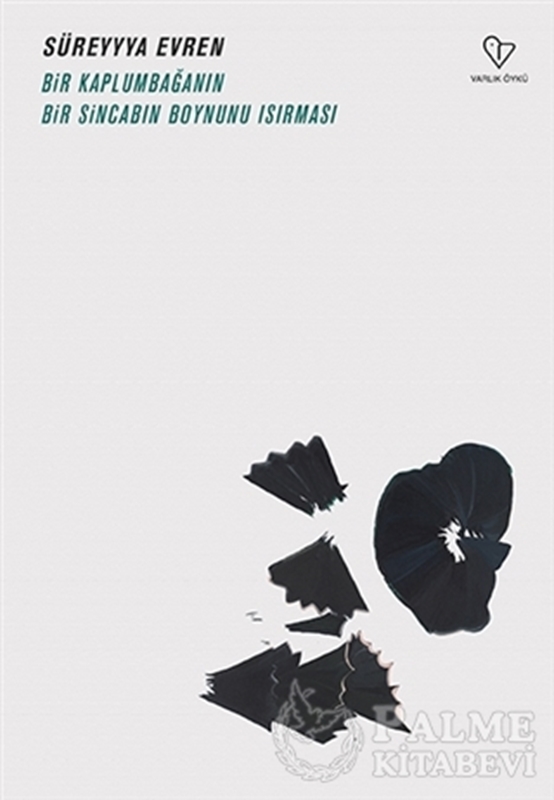 resm Bir Kaplumbağanın Bir Sincabın Boynunu Isırması