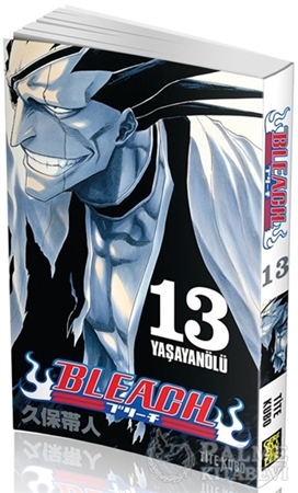 Resim Bleach 13. Cilt