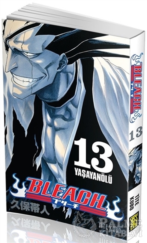 resm Bleach 13. Cilt
