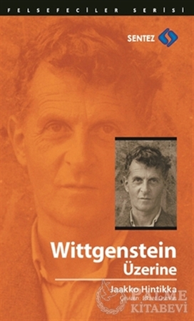 Resim Wittgenstein Üzerine
