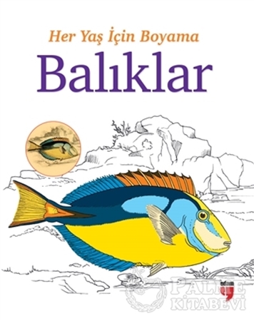 Resim Her Yaş İçin Boyama - Balıklar
