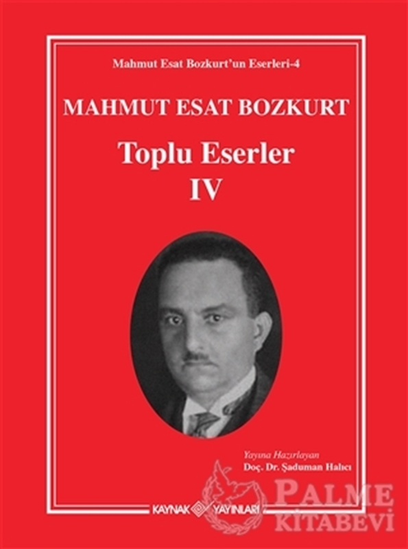 resm Mahmut Esat Bozkurt Toplu Eserler - 4