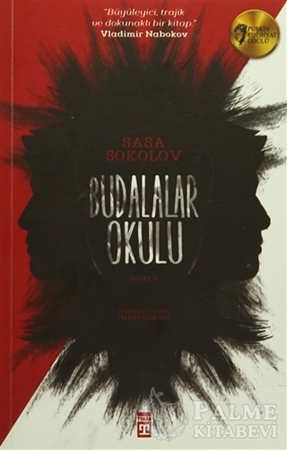 Resim Budalalar Okulu
