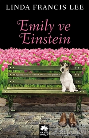 Resim Emily ve Einstein