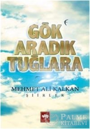 Resim Gök Aradık Tuğlara