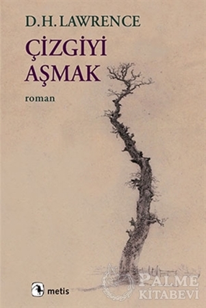 Resim Çizgiyi Aşmak