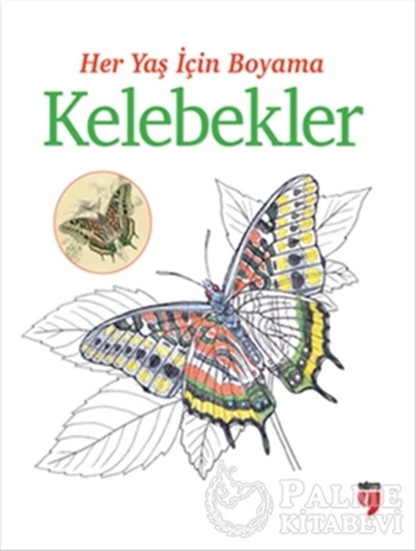 resm Her Yaş İçin Boyama - Kelebekler