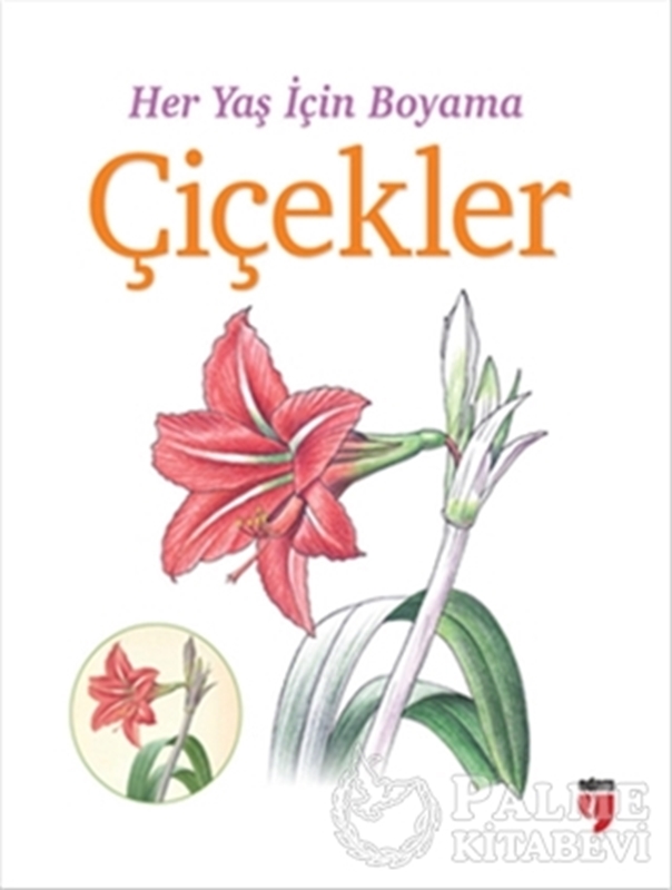 resm Her Yaş İçin Boyama - Çiçekler