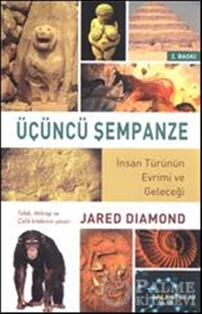 Resim Üçüncü Şempanze