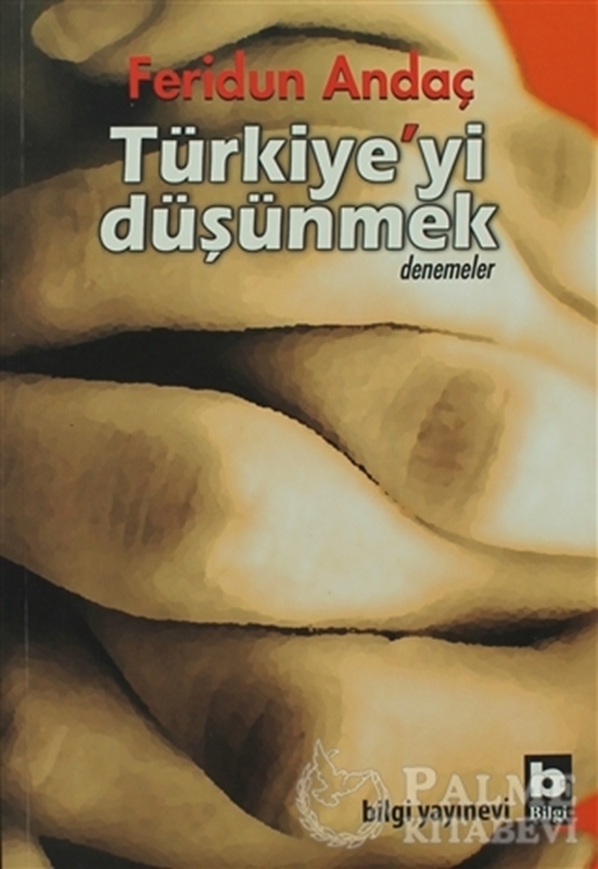 resm Türkiye’yi Düşünmek