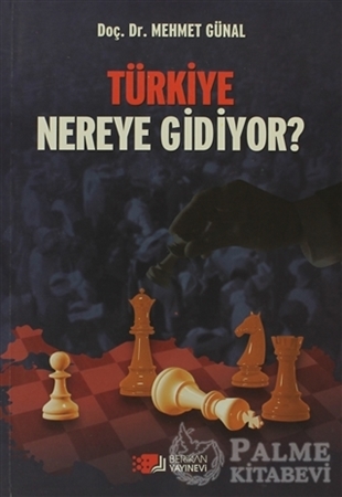 Resim Türkiye Nereye Gidiyor?