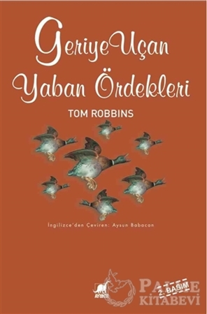 Resim Geriye Uçan Yaban Ördekleri