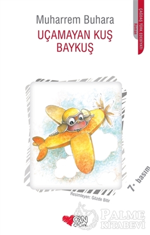 resm Uçamayan Kuş Baykuş