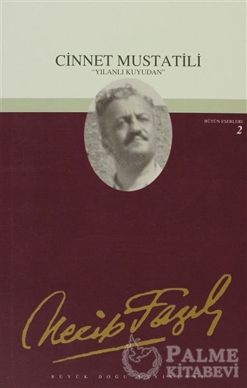 resm Cinnet Mustatili : 2 - Necip Fazıl Bütün Eserleri