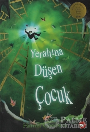 Resim Yeraltına Düşen Çocuk