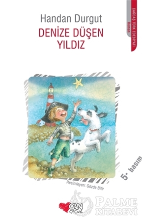 Resim Denize Düşen Yıldız