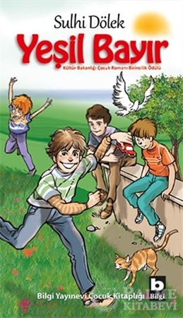 Resim Yeşil Bayır