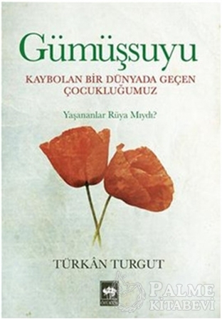 Resim Gümüşsuyu