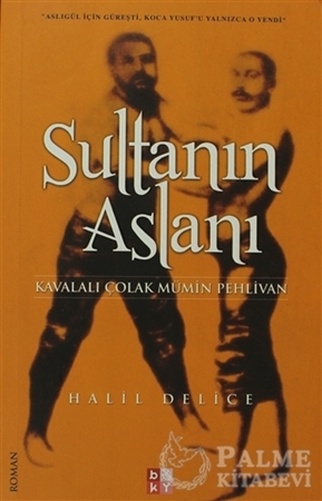 Resim Sultanın Aslanı