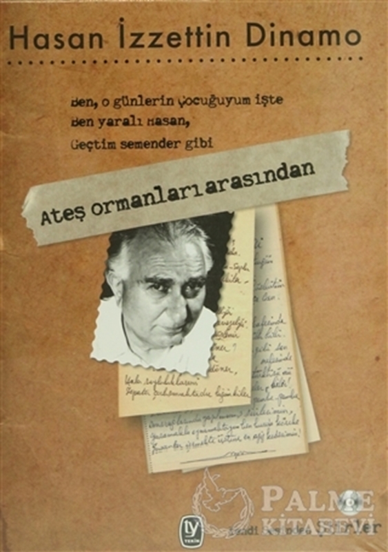 resm Ateş Ormanları Arasından