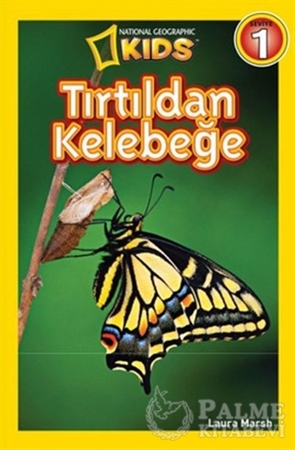 Resim Tırtıldan Kelebeğe