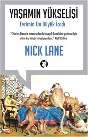 Resim Yaşamın Yükselişi 