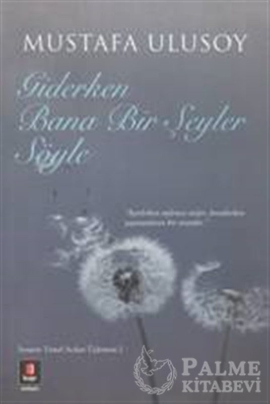 resm Giderken Bana Bir Şeyler Söyle