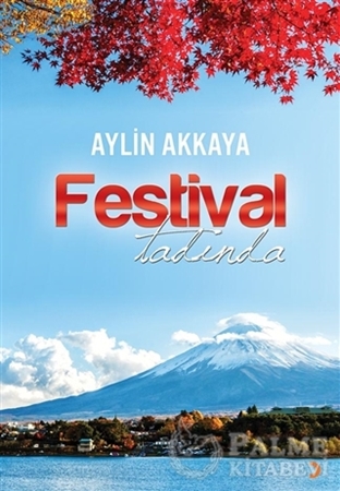 Resim Festival Tadında
