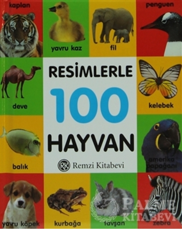 resm Resimlerle 100 Hayvan (Küçük Boy)